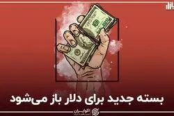 بسته جدید برای دلار باز می‌شود