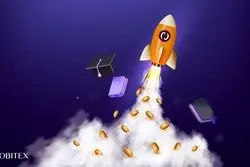 نوبیتکس، پیشگام در آموزش و آگاهی کاربران 