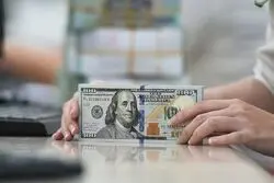 تسهیل واردات؛ تخصیص ارز در 7 روز