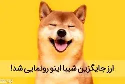 شیبای بعدی کدام ارز است؟