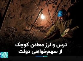 ترس و لرز معادن کوچک از سهم‌خواهی دولت