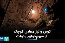 ترس و لرز معادن کوچک از سهم‌خواهی دولت