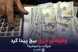 وام های ارزی بیخ پیدا کرد