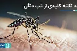 نکات کلیدی تب دنگی به روایت WHO