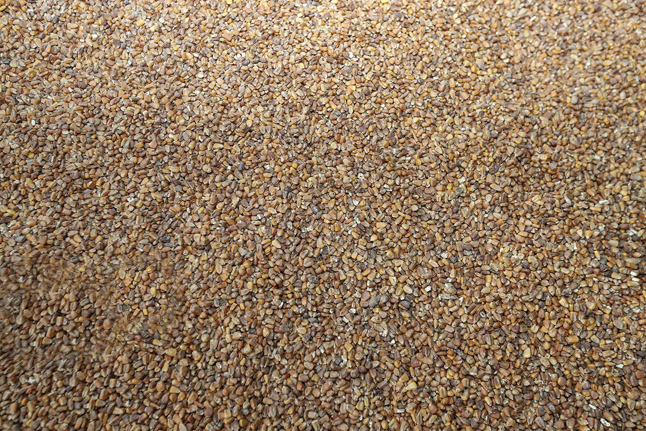 پای ذرت‌های آلوده به هیات دولت کشید؛ 2 روایت متفاوت حاکمیتی