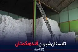 تابستان شیرین قندهکمتان