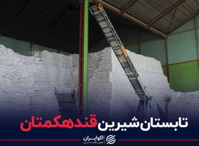 تابستان شیرین قندهکمتان