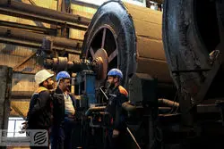 بخش خصوصی خودزنی کرد؛ نمره منفی نهادهای غیردولتی در محیط کسب و کار