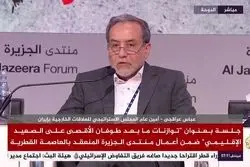 عراقچی هشدار داد: تهدید هسته‌ای اسرائیل دیگران را وادار به بازاندیشی در استراتژی هسته‌ای خود می‌کند