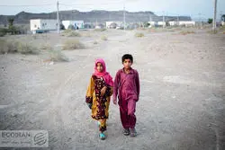 پایین‌ترین تورم خوراکی در 3 استان مرزی رقم خورد