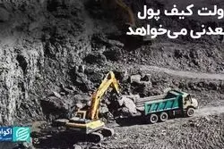 دولت کیف پول معدنی می‌خواهد   