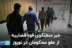 خبر سخنگوی قوه قضاییه از عفو محکومان در نوروز