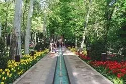 جشنواره «ایران ماهر» در بوستان لاله