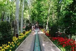 جشنواره «ایران ماهر» در بوستان لاله