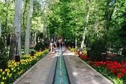 جشنواره «ایران ماهر» در بوستان لاله