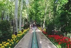 جشنواره «ایران ماهر» در بوستان لاله