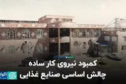 کمبود نیروی کار ساده، چالش اساسی صنایع غذایی 