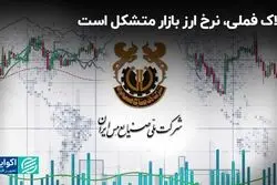 ملاک فملی، نرخ ارز بازار متشکل است