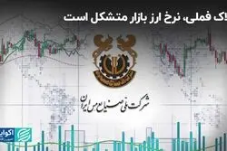 ملاک فملی، نرخ ارز بازار متشکل است