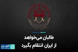 طالبان می‌خواهد از ایران انتقام بگیرد