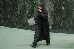 شینا انصاری: تمرکززدایی از تهران در دولت مطرح شد