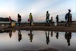 دما زیاد شد، جنگل‌ها سوختند