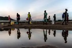 دما زیاد شد، جنگل‌ها سوختند