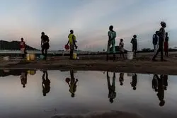 دما زیاد شد، جنگل‌ها سوختند