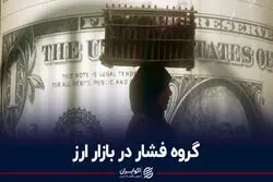  گروه فشار در بازار ارز