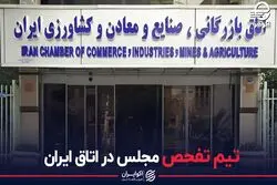 تیم تفحص مجلس در اتاق ایران