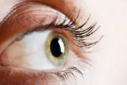 برای نخستین‌بار در جهان: احیای بینایی با پیوند سلول‌های بنیادی