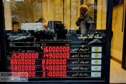 جولان عمان در بازار سکه ایران