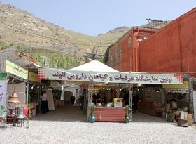 ایجاد یک «همدان فرهنگی کوچک» در گنجنامه