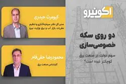 دو روی سکه خصوصی سازی