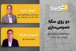 دو روی سکه خصوصی سازی