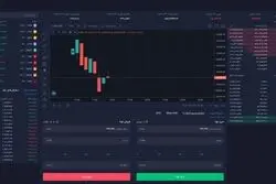 صرافی پینگی ایردراپ لونا را اجرا کرد