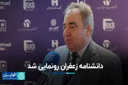 تمرکز بر توسعه بازار و معرفی زعفران