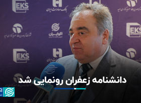 تمرکز بر توسعه بازار و معرفی زعفران
