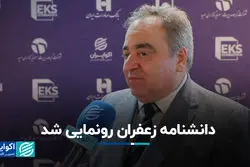 تمرکز بر توسعه بازار و معرفی زعفران