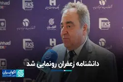 تمرکز بر توسعه بازار و معرفی زعفران