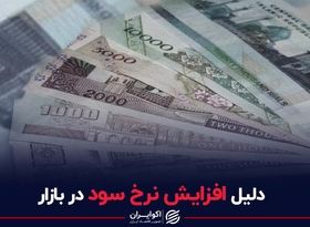 دلیل افزایش نرخ سود در بازار