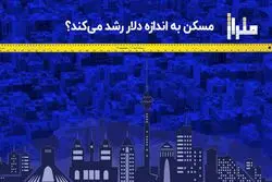 مسکن به اندازه دلار رشد می‌ کند ؟