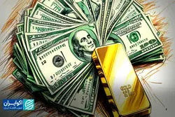 از سکه پلاستیکی تا سقف کانال دلار