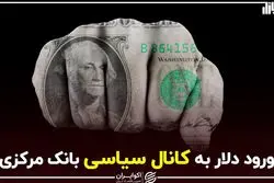 ورود دلار به کانال سیاسی بانک مرکزی