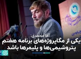 یکی از مگاپروژه‌های برنامه هفتم پتروشیمی‌ها و پلیمرها باشد