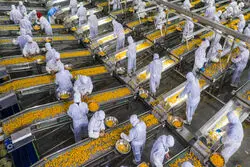 اوج‌گیری بهای کالاهای صنعتی با صعود تورم چین
