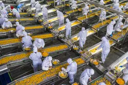 اوج‌گیری بهای کالاهای صنعتی با صعود تورم چین
