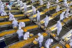 اوج‌گیری بهای کالاهای صنعتی با صعود تورم چین
