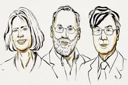 نوبلیست‌های پزشکی راز سیستم ایمنی بدن را کشف کردند