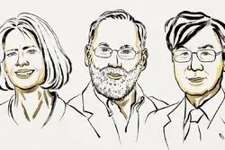 نوبلیست‌های پزشکی راز سیستم ایمنی بدن را کشف کردند